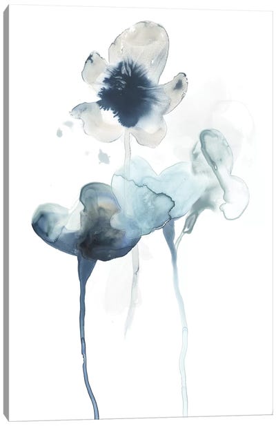 Midnight Blossoms II Canvas Art Print - June Erica Vess