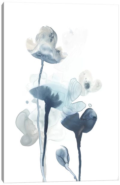 Midnight Blossoms IV Canvas Art Print - June Erica Vess
