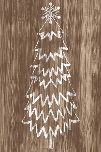 Rustic Winter: Barnwood Wonderland VIII by June Erica Vess