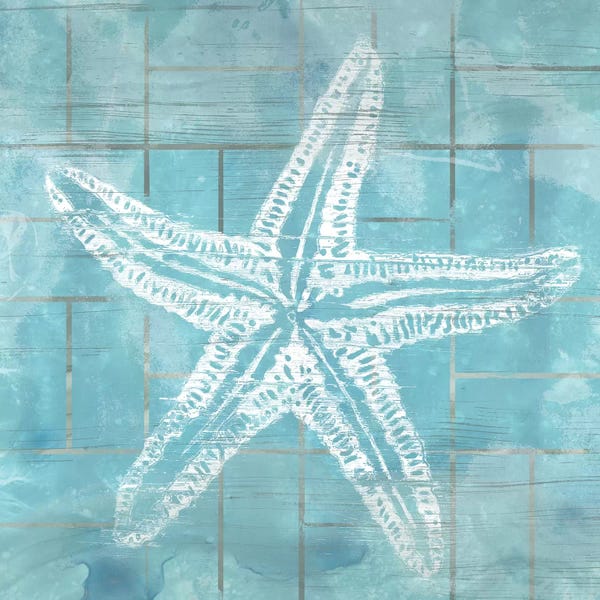 Starfish: Cerulean Shell II by June Erica Vess