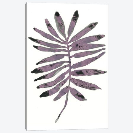 Foliage Fossil I Canvas Print #JEV1232} by June Erica Vess Canvas Artwork