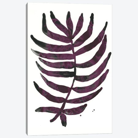 Foliage Fossil VI Canvas Print #JEV1237} by June Erica Vess Canvas Print
