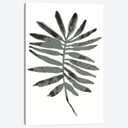 Foliage Fossil VII Canvas Print #JEV1238} by June Erica Vess Canvas Art