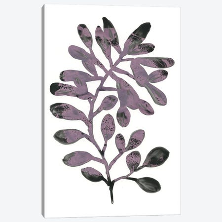 Foliage Fossil VIII Canvas Print #JEV1239} by June Erica Vess Canvas Wall Art