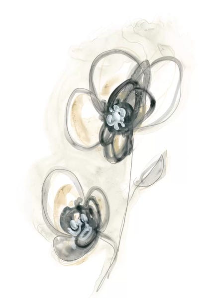 Minimalist Flowers: Monochrome Floral Study II by June Erica Vess