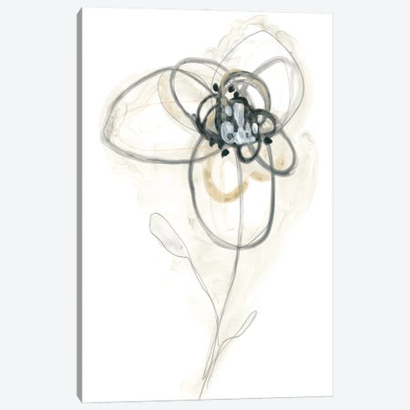 Monochrome Floral Study IV Canvas Print #JEV1308} by June Erica Vess Canvas Wall Art
