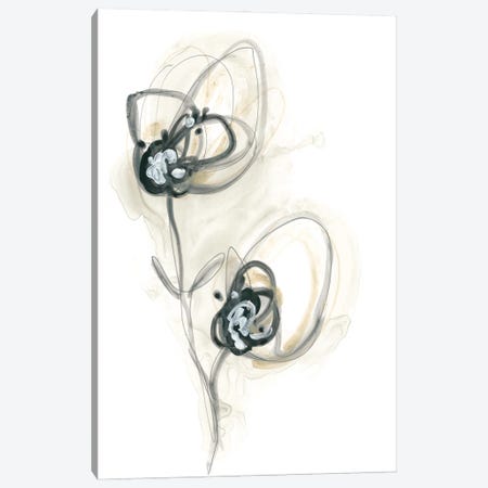 Monochrome Floral Study IX Canvas Print #JEV1309} by June Erica Vess Canvas Artwork