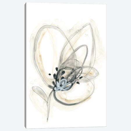 Monochrome Floral Study V Canvas Print #JEV1310} by June Erica Vess Canvas Art Print