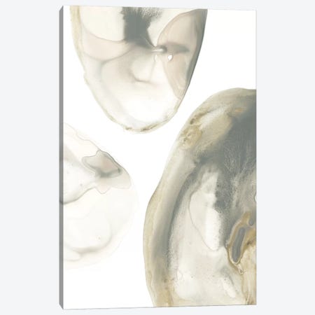 Natural Geode I Canvas Print #JEV1316} by June Erica Vess Canvas Wall Art