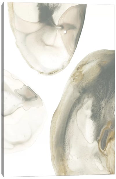 Natural Geode I Canvas Art Print - Agate, Geode & Mineral Art