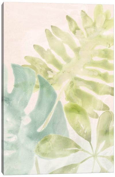 Tropical Sorbet I Canvas Art Print - June Erica Vess