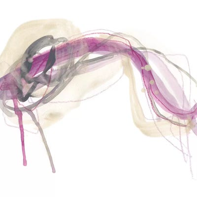 Wave Equation I by June Erica Vess canvas print