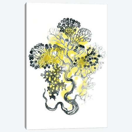 Citron Sea Kelp I Canvas Print #JEV1492} by June Erica Vess Canvas Art
