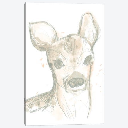 Deer Cameo I Canvas Print #JEV1504} by June Erica Vess Canvas Art Print