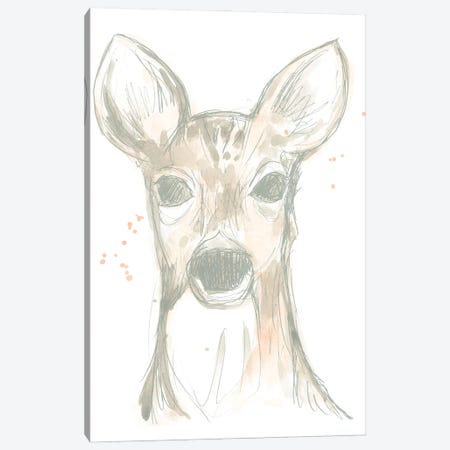 Deer Cameo II Canvas Print #JEV1505} by June Erica Vess Art Print