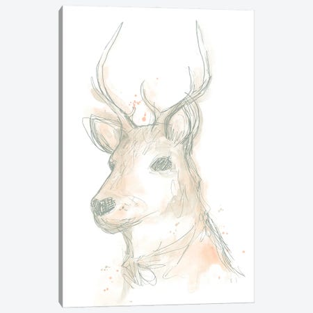 Deer Cameo III Canvas Print #JEV1506} by June Erica Vess Canvas Print