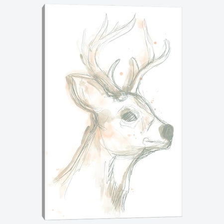 Deer Cameo IV Canvas Print #JEV1507} by June Erica Vess Canvas Print