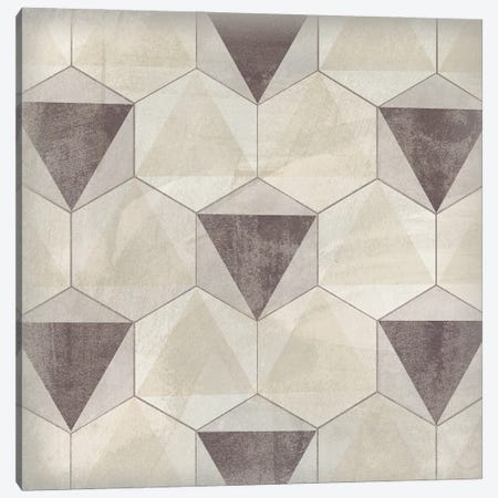 Hexagon Tile II Canvas Print #JEV1558} by June Erica Vess Art Print