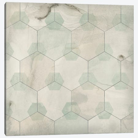 Hexagon Tile III Canvas Print #JEV1559} by June Erica Vess Canvas Print