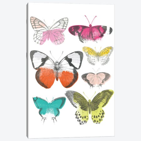 Chromatic Butterflies I Canvas Print #JEV1685} by June Erica Vess Canvas Artwork