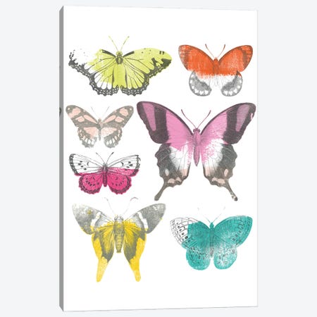 Chromatic Butterflies II Canvas Print #JEV1686} by June Erica Vess Canvas Wall Art