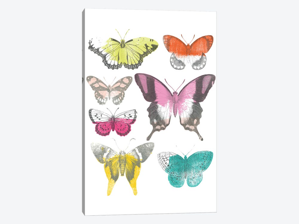 Chromatic Butterflies II by June Erica Vess 1-piece Canvas Art Print