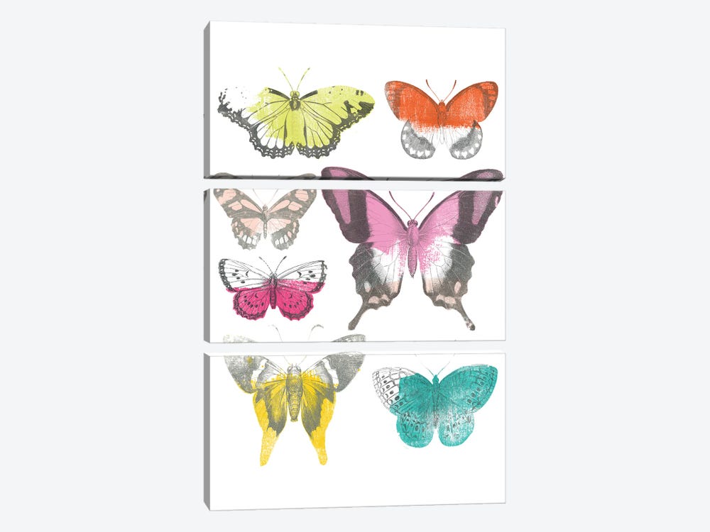 Chromatic Butterflies II 3-piece Canvas Art Print