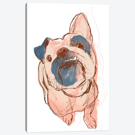 Dog Portrait--Bobo Canvas Print #JEV1704} by June Erica Vess Art Print
