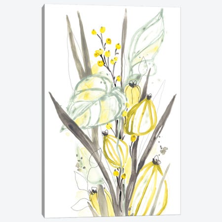 Ethereal Citron II Canvas Print #JEV1860} by June Erica Vess Canvas Art Print