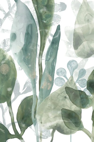 Aquatic Leaves III Canvas Wall Art by June Erica Vess | iCanvas