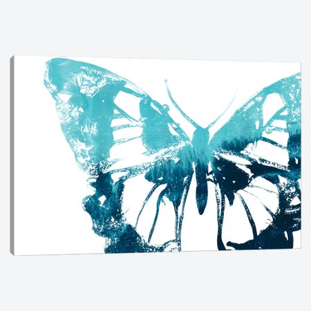 Butterfly Imprint I Canvas Print #JEV1939} by June Erica Vess Art Print