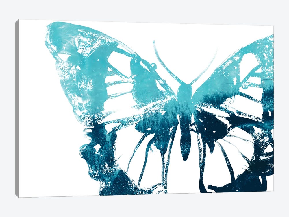 Butterfly Imprint I 1-piece Canvas Art Print