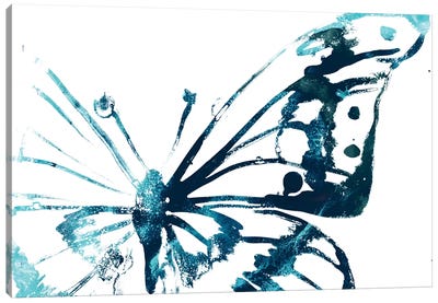 Butterfly Imprint V Canvas Art Print - June Erica Vess