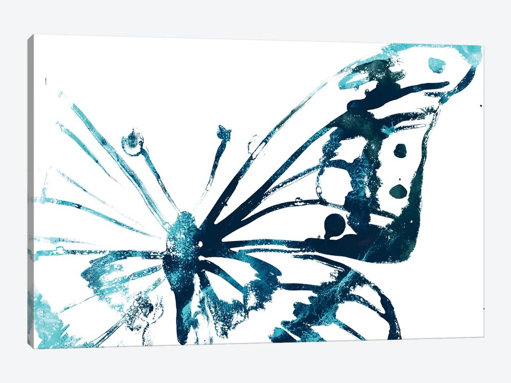 Butterfly Imprint V by June Erica Vess 1-piece Canvas Wall Art