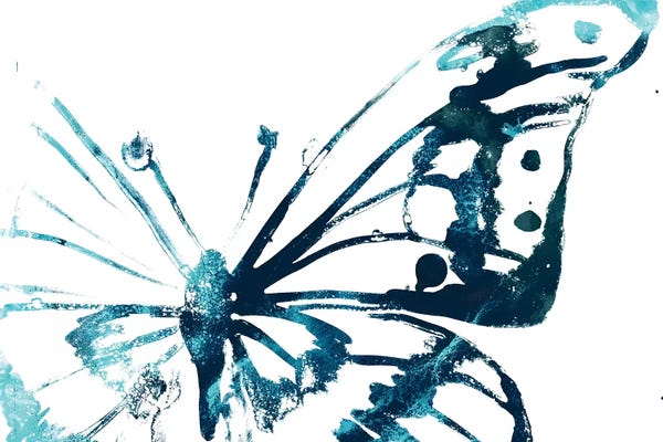 Butterflies: Butterfly Imprint V by June Erica Vess