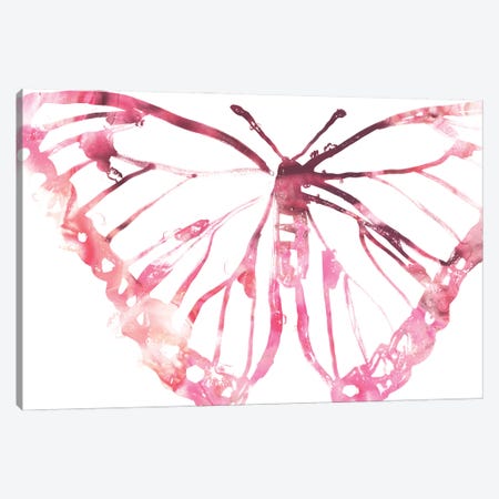 Butterfly Imprint VI Canvas Print #JEV1944} by June Erica Vess Canvas Print