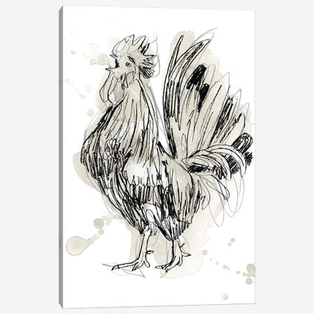Feathered Fowl II Canvas Print #JEV1972} by June Erica Vess Art Print