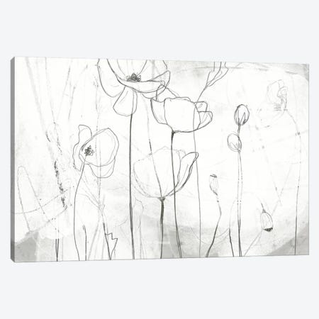 Poppy Sketches I Canvas Print #JEV203} by June Erica Vess Canvas Art