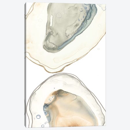Ocean Oysters II Canvas Print #JEV2045} by June Erica Vess Canvas Wall Art