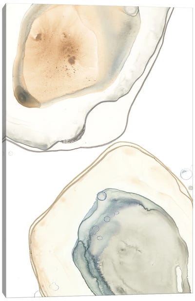Ocean Oysters III Canvas Art Print - Oyster Art
