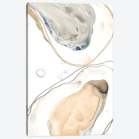 Ocean Oysters IV Canvas Print #JEV2047} by June Erica Vess Canvas Art
