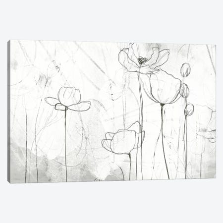 Poppy Sketches II Canvas Print #JEV204} by June Erica Vess Canvas Print