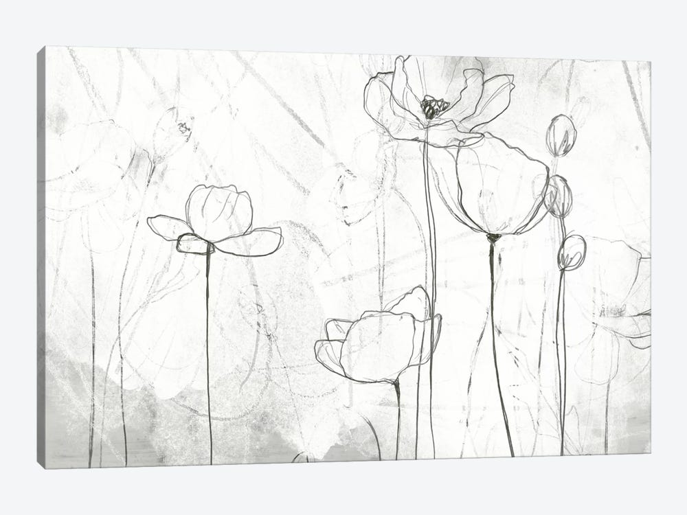 Poppy Sketches II by June Erica Vess 1-piece Art Print
