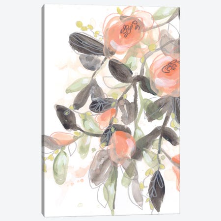 Sheer Blossoms I Canvas Print #JEV2088} by June Erica Vess Canvas Print