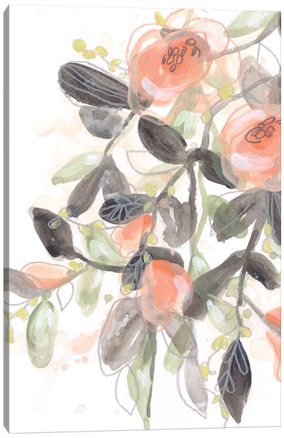 Sheer Blossoms I Canvas Art Print - June Erica Vess