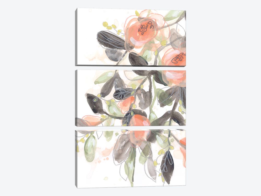 Sheer Blossoms I by June Erica Vess 3-piece Canvas Print