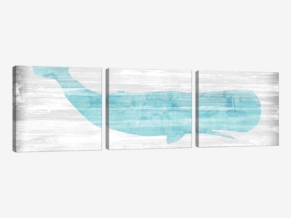 Weathered Whale I by June Erica Vess 3-piece Canvas Art