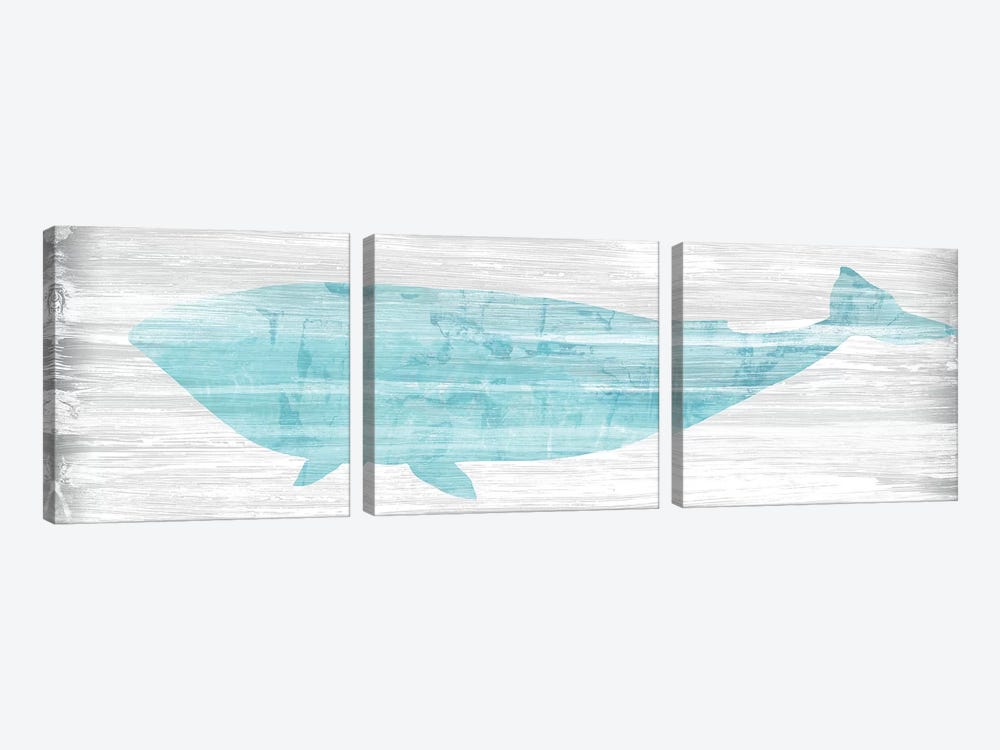 Weathered Whale II by June Erica Vess 3-piece Canvas Print