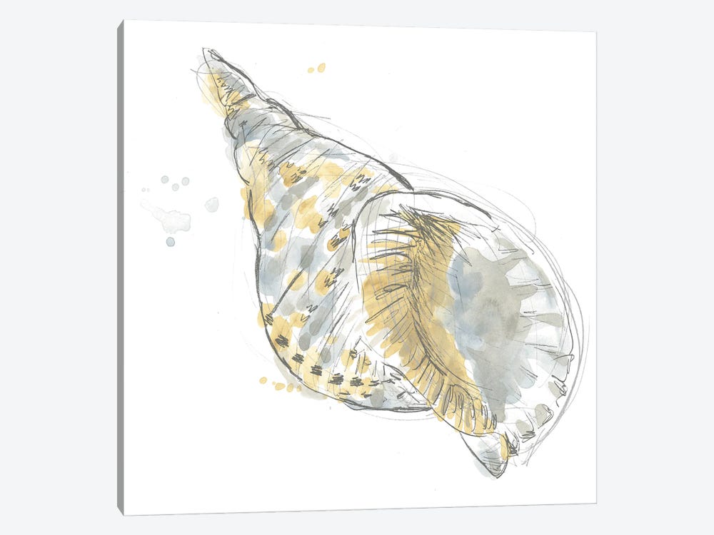 Citron Shell Sketch II by June Erica Vess 1-piece Canvas Art Print