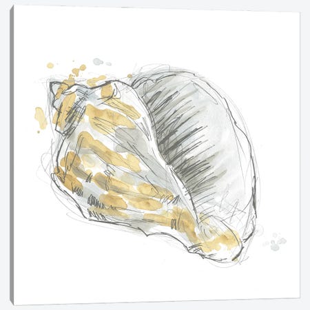 Citron Shell Sketch III Canvas Print #JEV2233} by June Erica Vess Canvas Wall Art
